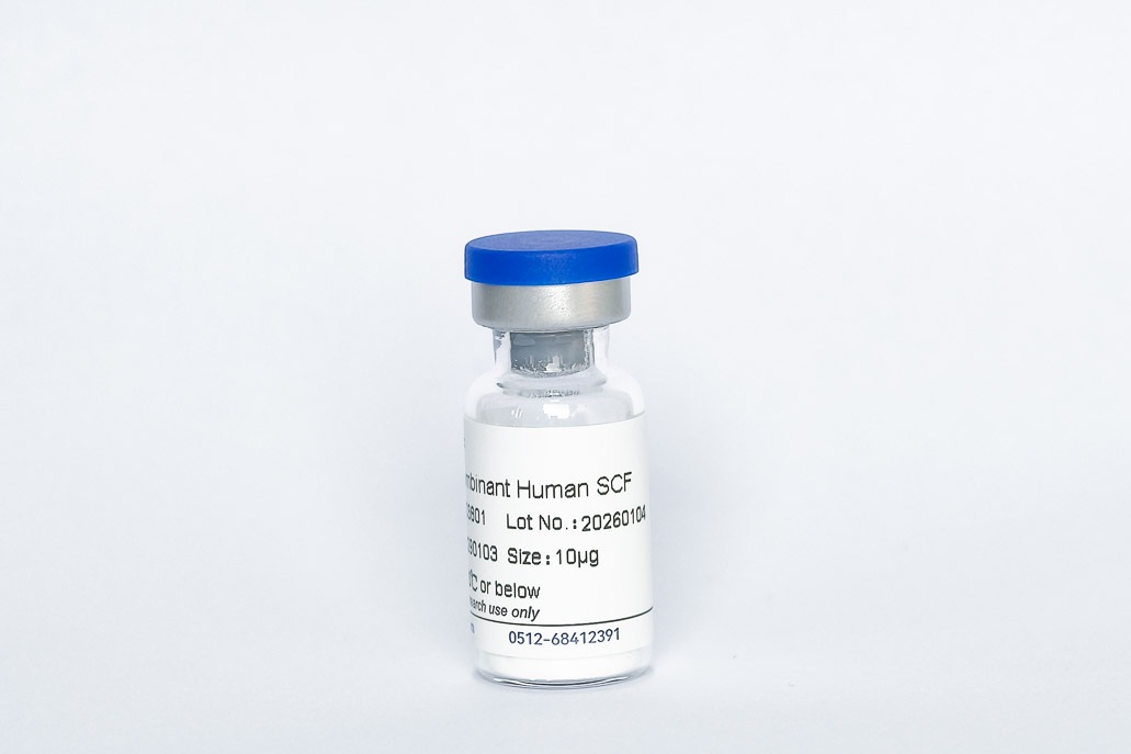 Y03801 Recombinant Human SCF