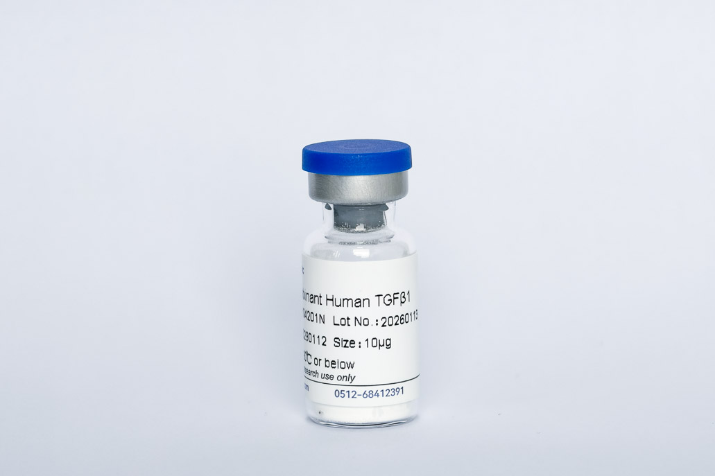 Y04201N Recombinant Human TGF-&beta;1