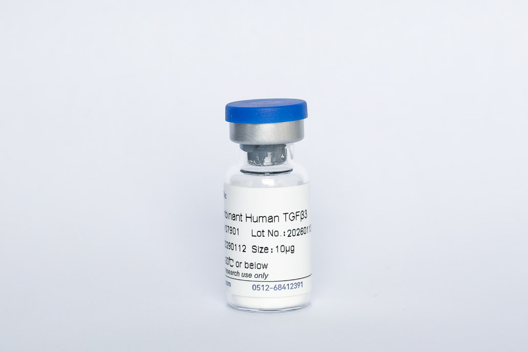 Y07901 Recombinant Human TGF-&beta;3