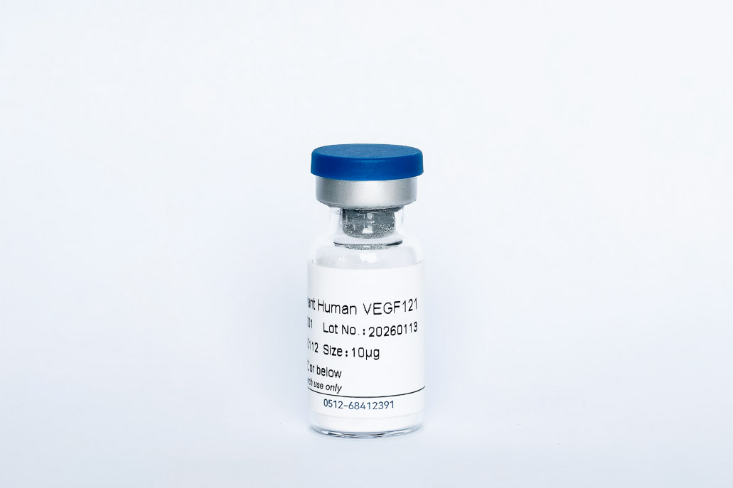 Y12301 Recombinant Human VEGF121