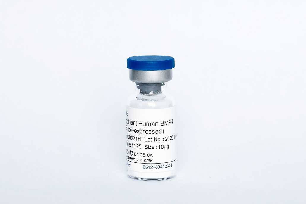 Y00521H Recombinant Human BMP-4
