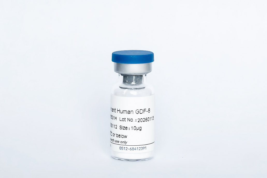 Y05501H Recombinant Human GDF-8