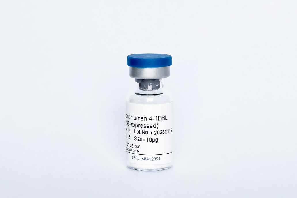Y11541H Recombinant Human 4-1BBL