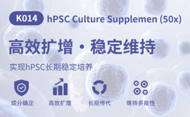 多能干细胞高效培养利器｜东抗生物 hPSC 培养补充剂，实现细胞长期稳定扩增